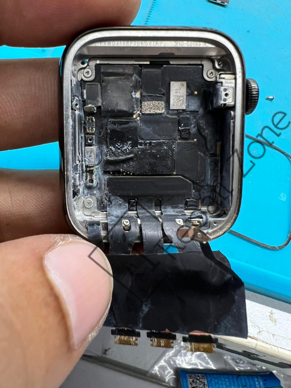 Apple Watch Series SE Water Damage 